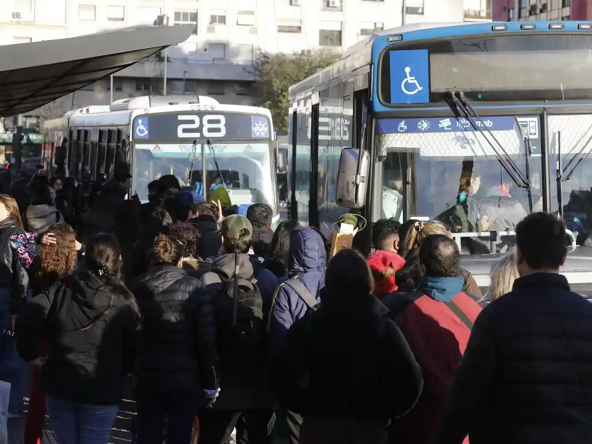 colectivos_1